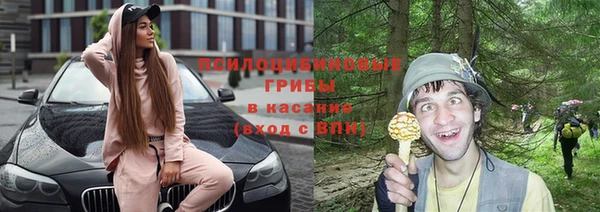 винт Богородицк