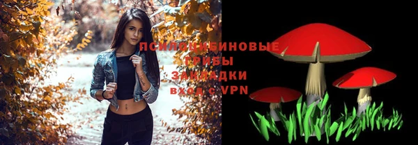 винт Богородицк